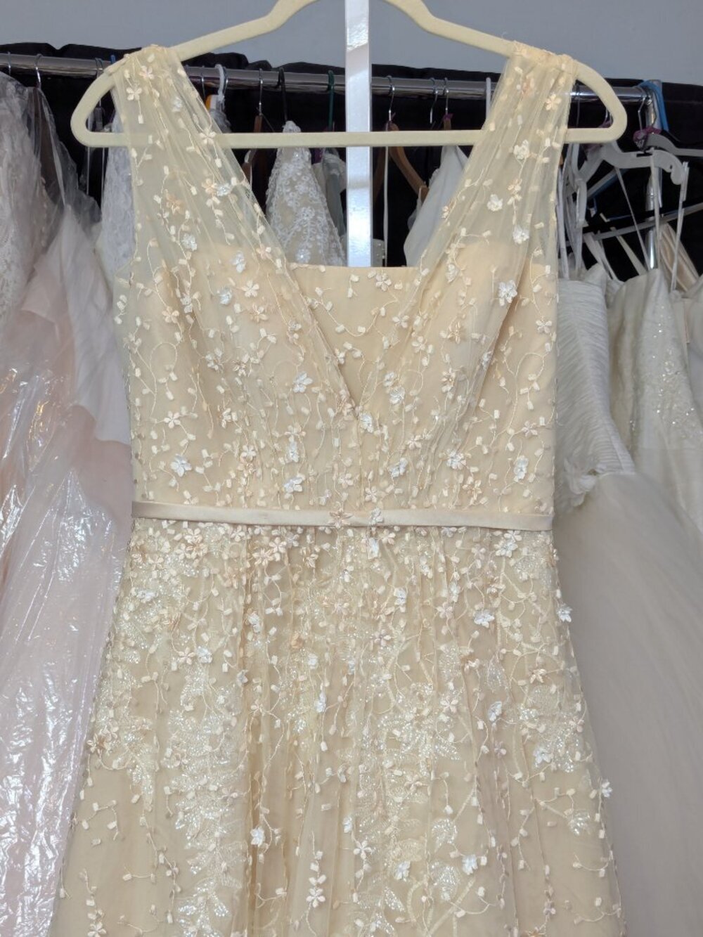 Melissa Sweet Champagne Wedding Dress Size 8 MS251151 Floral A-Line Bridal Gown - Picture 7 of 10
